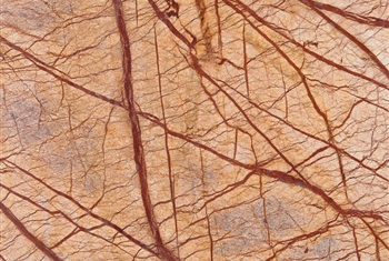 rainforest gold marble in Kishangarh